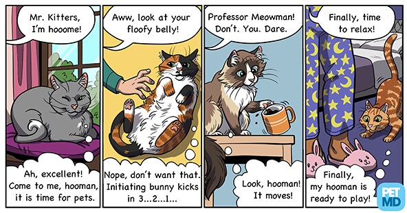 Cat behaviors explained comic